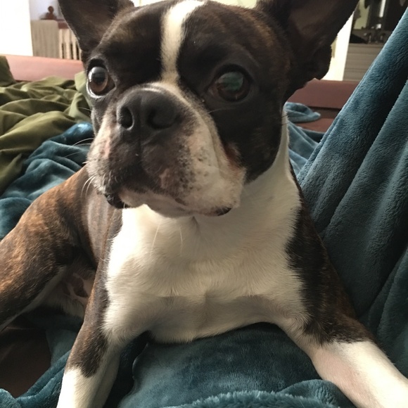 Meet your Posher, Jillian - Picture 4 of 5